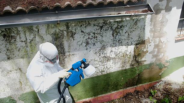 Top rated local Mold Remediation specialists in Gardners, PA